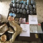 Capturan dos personas que trataban de introducir yucas rellenas de drogas a La Victoria