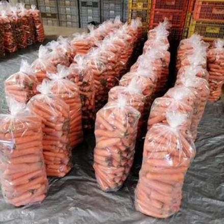 Realizan la primera exportación de zanahoria dominicana a Puerto Rico