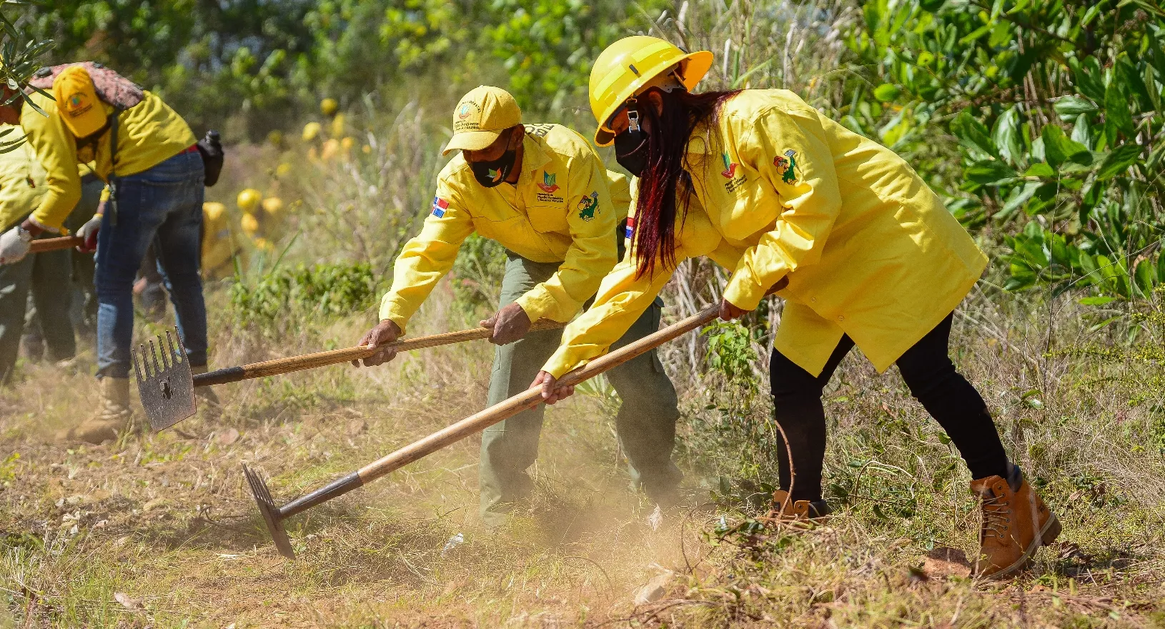 Los bomberos forestales cuando están fuera del combate de incendios