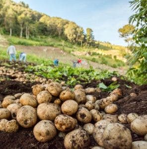 “Agricultura Positiva”, con metas globales