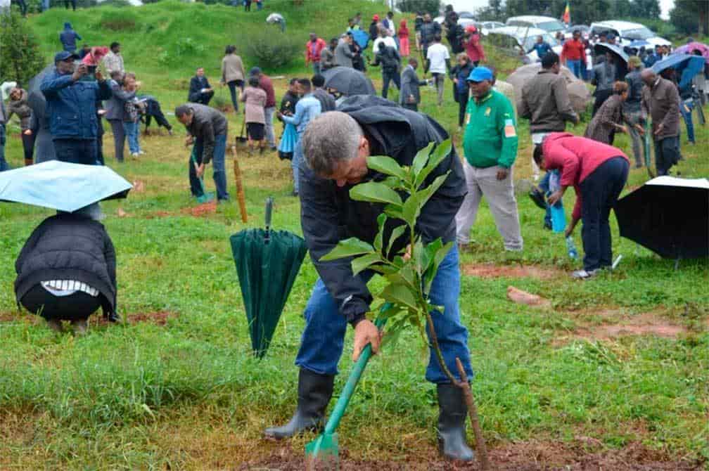 Etiopía lanza una campaña para plantar 6,000 millones de árboles en 2021