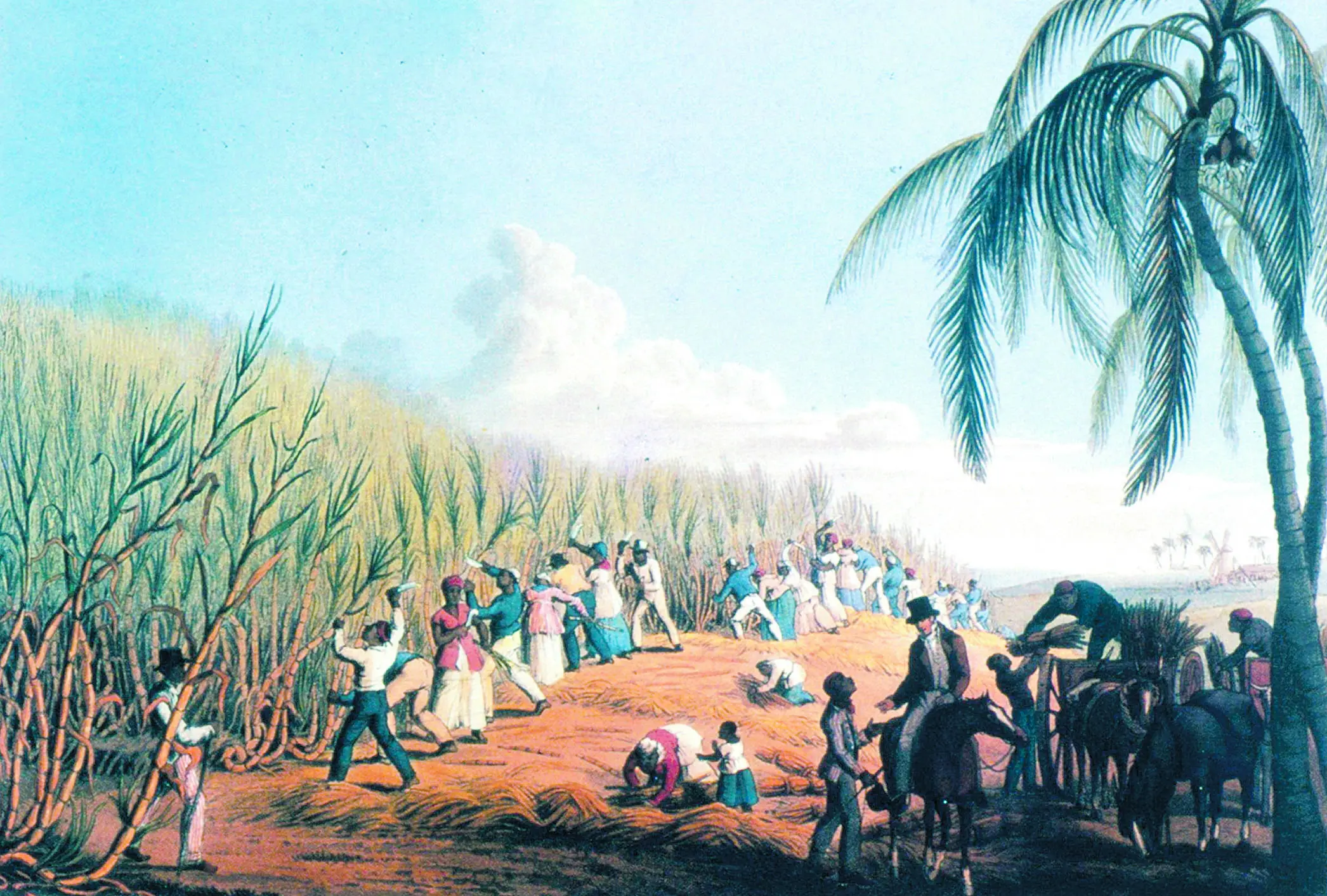 Esclavos en Santo Domingo durante la época colonial:  la libertad de la familia