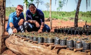 Restauración ecológica, vía para devolver la vida a los ecosistemas