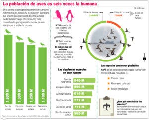 En el inventario del  mundo, hay seis veces más aves que humanos