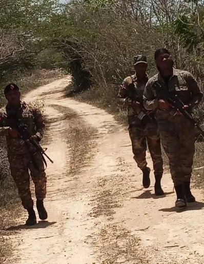 Las Fuerzas Armadas apuntalan líneas de Plan Gavión