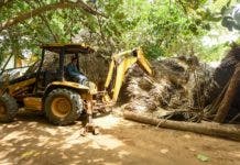 Medio Ambiente retira negocios ilegales de Playa El Valle, importante hábitat de tortugas Carey y Tinglar 