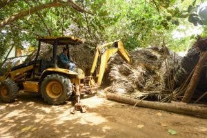 Medio Ambiente retira negocios ilegales de Playa El Valle, importante hábitat de tortugas Carey y Tinglar 