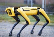 Perros robot de policía: ¿máquinas útiles o deshumanizantes?