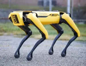 Perros robot de policía: ¿máquinas útiles o deshumanizantes?