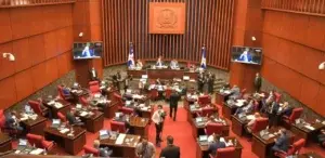 Activistas denuncian grupo de senadores boicotearían aprobación Código Penal no asistiendo a sesión