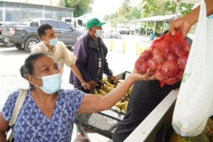 Libra de cebolla podría volver a costar más de RD$100.00 por escasez