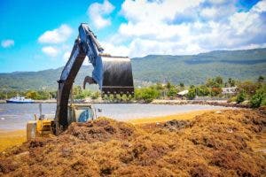 Medio Ambiente retira sargazos en más de dos kilómetros de playa en Barahora