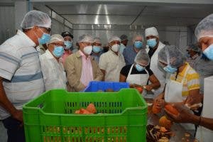 FEDA respaldará a los productores del Clúster de Zapote