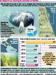 La educación   preserva la vida de especies en peligro de extinción