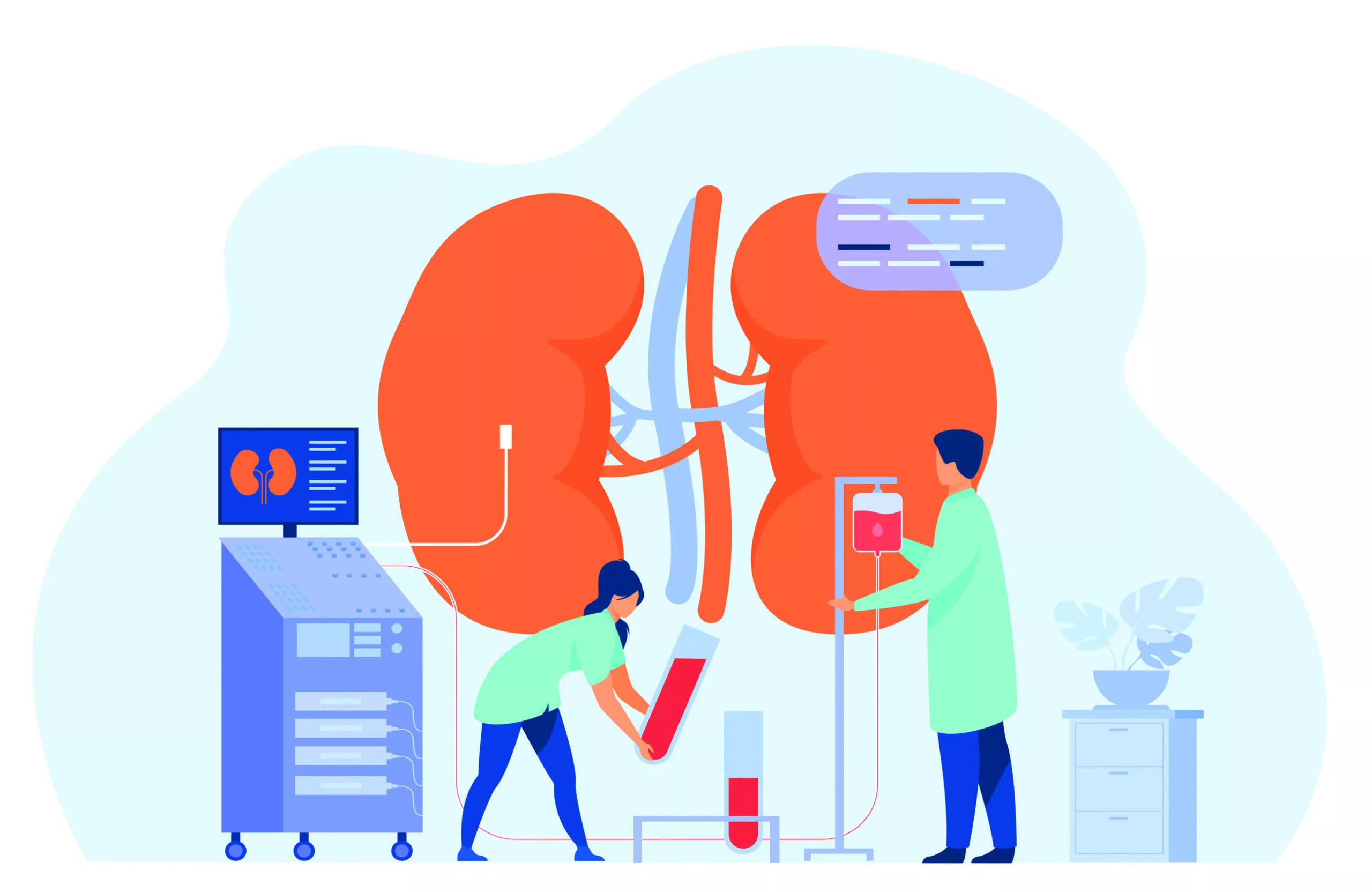 Trasplante renal, opción liberadora para paciente con insuficiencia crónica