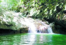 Loma Guaconejo: Una reserva científica de  bosque que encanta  a los visitantes