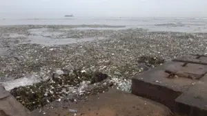 Generadora Itabo I fuera de servicio afectada por toneladas de basura