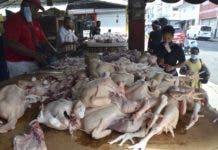 PLD critica que se importen pollos en vez de producirlos en el país