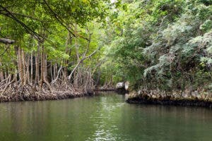 Proteger Parques Nacionales fundamental para frenar Cambio Climático