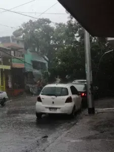 Tormenta Fred: Enorme árbol cuelga sobre tendido eléctrico en barrio 27 de febrero; moradores alertan a las autoridades