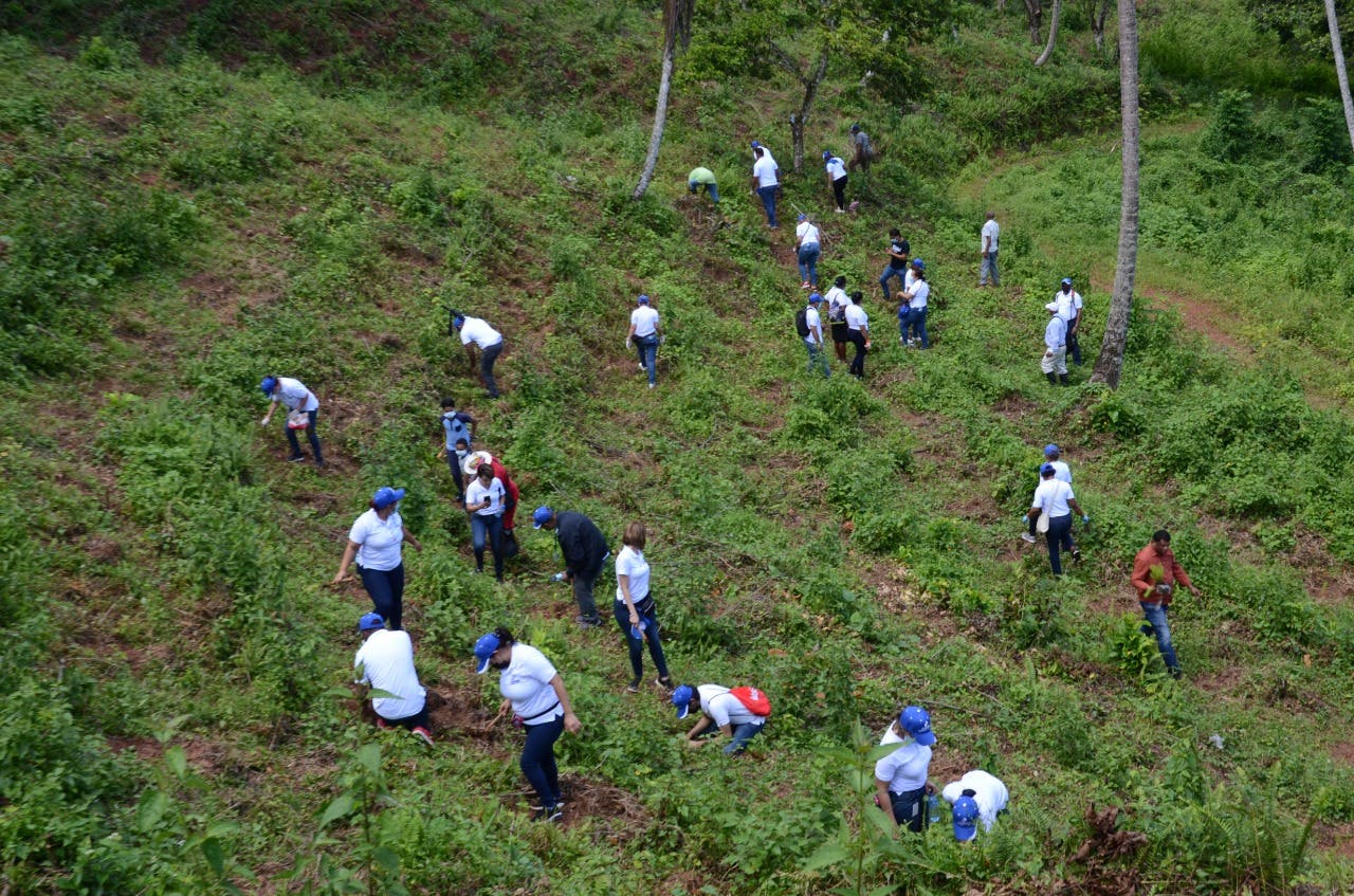 CNSS realiza jornada de reforestación en Monseñor Nouel 