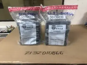 DNCD incauta 10 paquetes de cocaína en Puerto de Haina Oriental