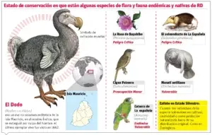 Declarar extintas las especies puede tomar entre 50 y 100 años