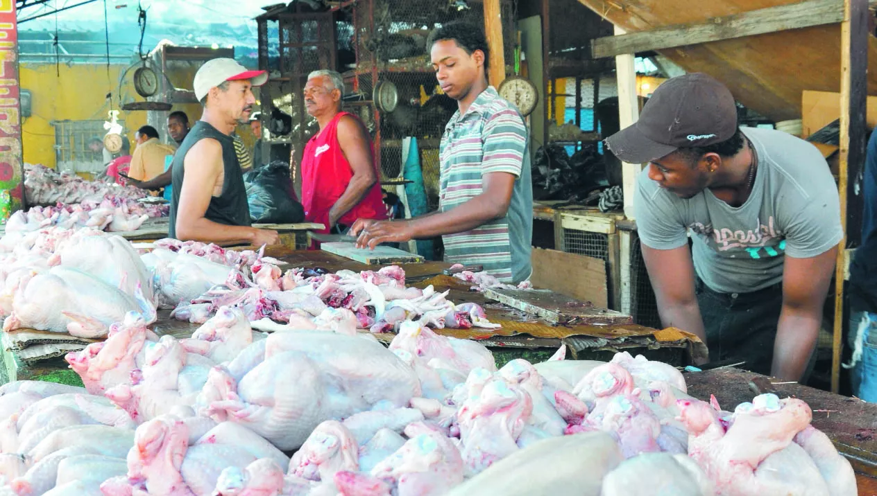 Gobierno autorizará la libre importación de carne de pollo