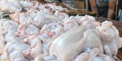 Ito Bisonó anuncia subsidio por más de RD$700 millones para producción de pollo