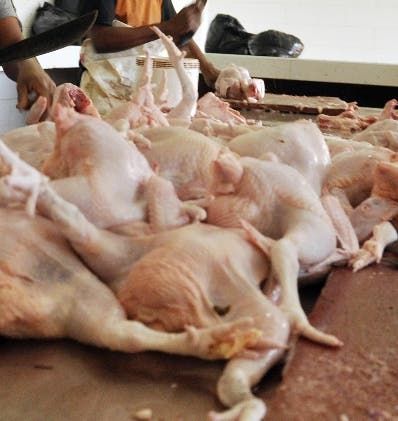 Pro Consumidor dice libra de  pollo “nunca ha llegado a 100 pesos”