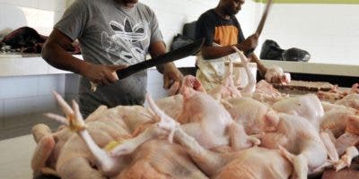 Productores pollo atribuyen precios a intermediarios