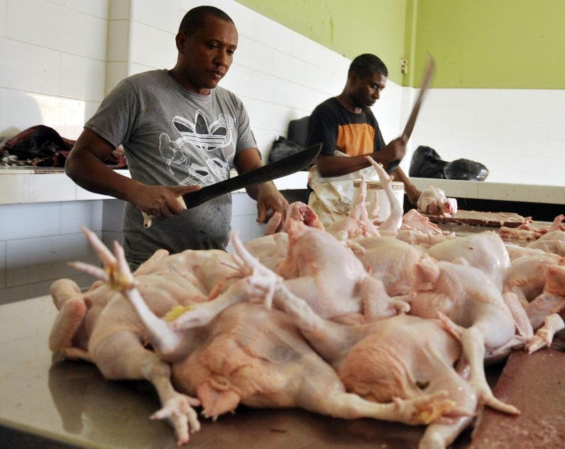 Consumidor dominicano compra pollo al precio más económico de la región