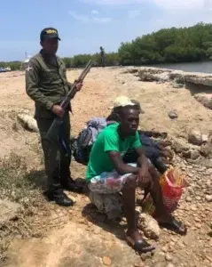 Haitianos son apresados por captura ilegal tortuga verde