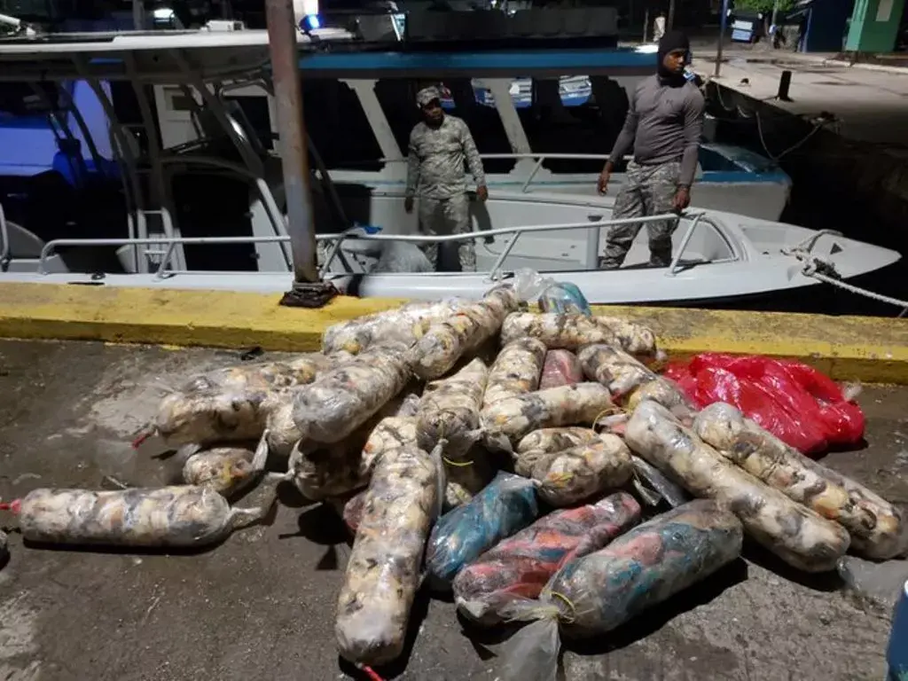 Incautan más de media tonelada de peces loros y lambies en Samaná durante operativo