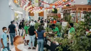 Sambil celebra su III feria de viveros