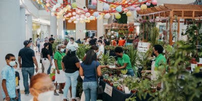 Sambil celebra su III feria de viveros