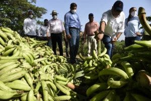 Gabinete Agropecuario acude en auxilio de agricultores plataneros afectados por tornado