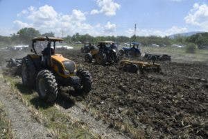 Agricultura prepara 190 mil tareas de tierra para siembra masiva de habichuela en región Suroeste