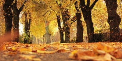 Equinoccio de otoño ¿Qué significa?