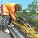 Más de 2,000 operativos y un millón de metros cuadrados: así avanza el plan de embellecimiento de la Digecac