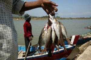 Estudio busca concientizar sobre prácticas de pesca sostenible