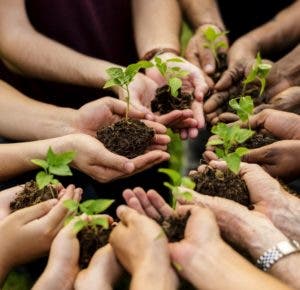 Llamado para  restaurar los  ecosistemas en el  mes  de la reforestación