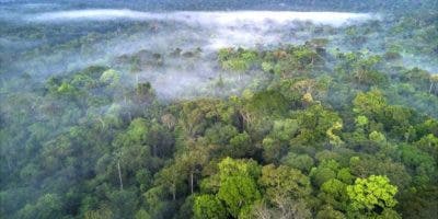 El plan de Facebook para combatir la venta ilegal de tierras en la Amazonía