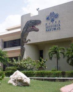 El Museo Natural anuncia un  evento virtual