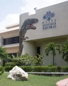 El Museo Natural anuncia un  evento virtual