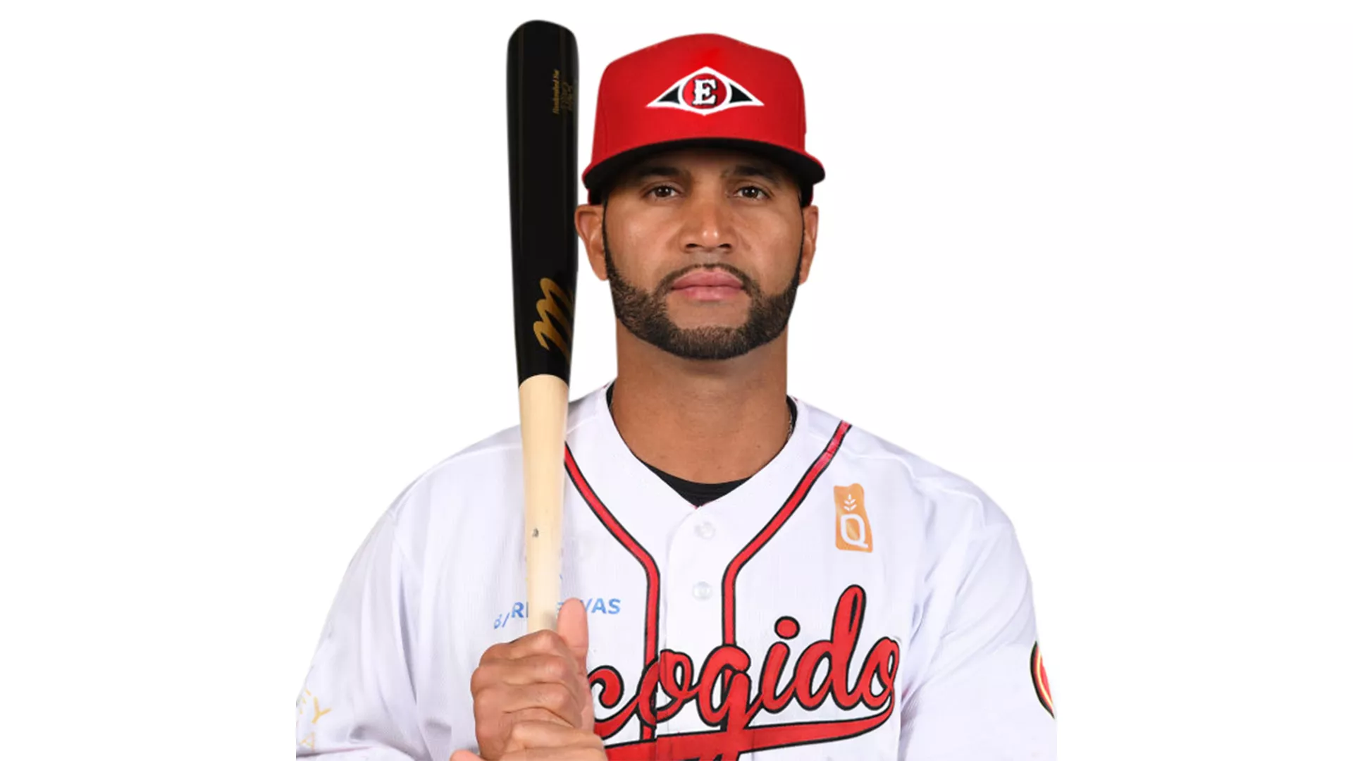 Leones adquieren a Albert Pujols desde los Gigantes del Cibao