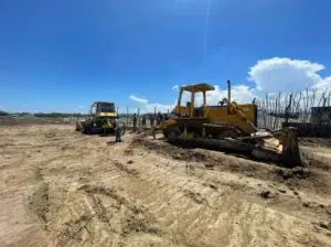 Medio Ambiente somete a la justicia al director del Distrito Municipal de Amina por tala de árboles sin autorización