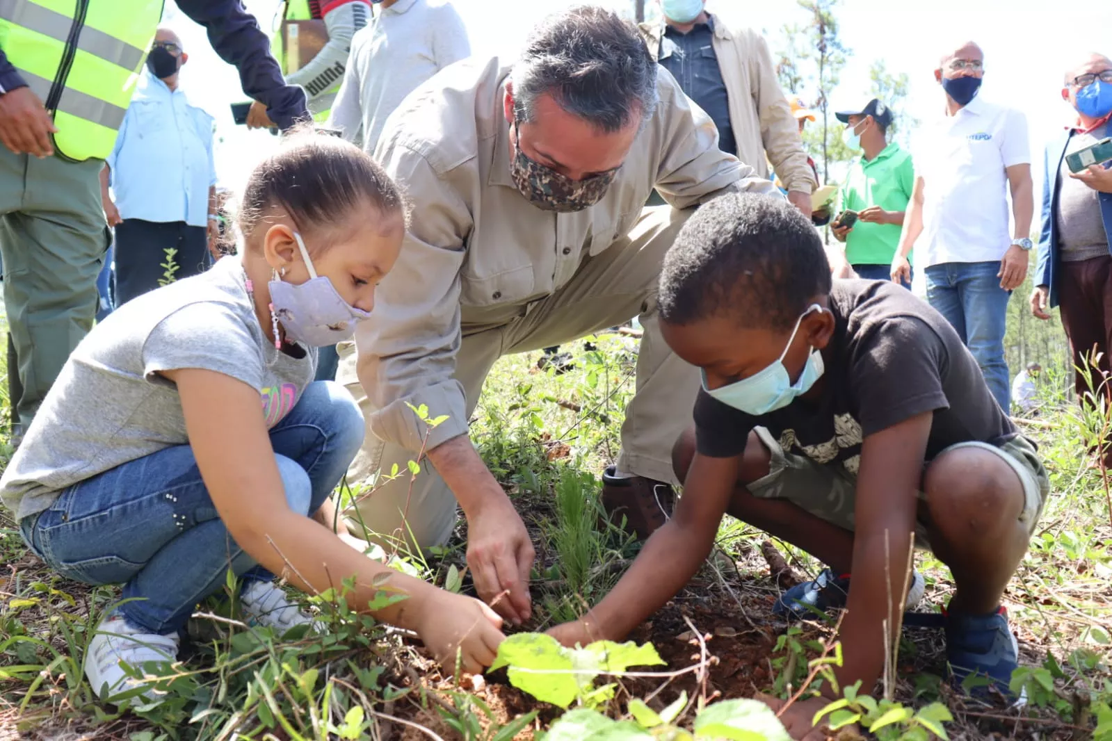 Medio Ambiente inicia Mes de la Reforestación con meta de plantar 3.5 millones de árboles