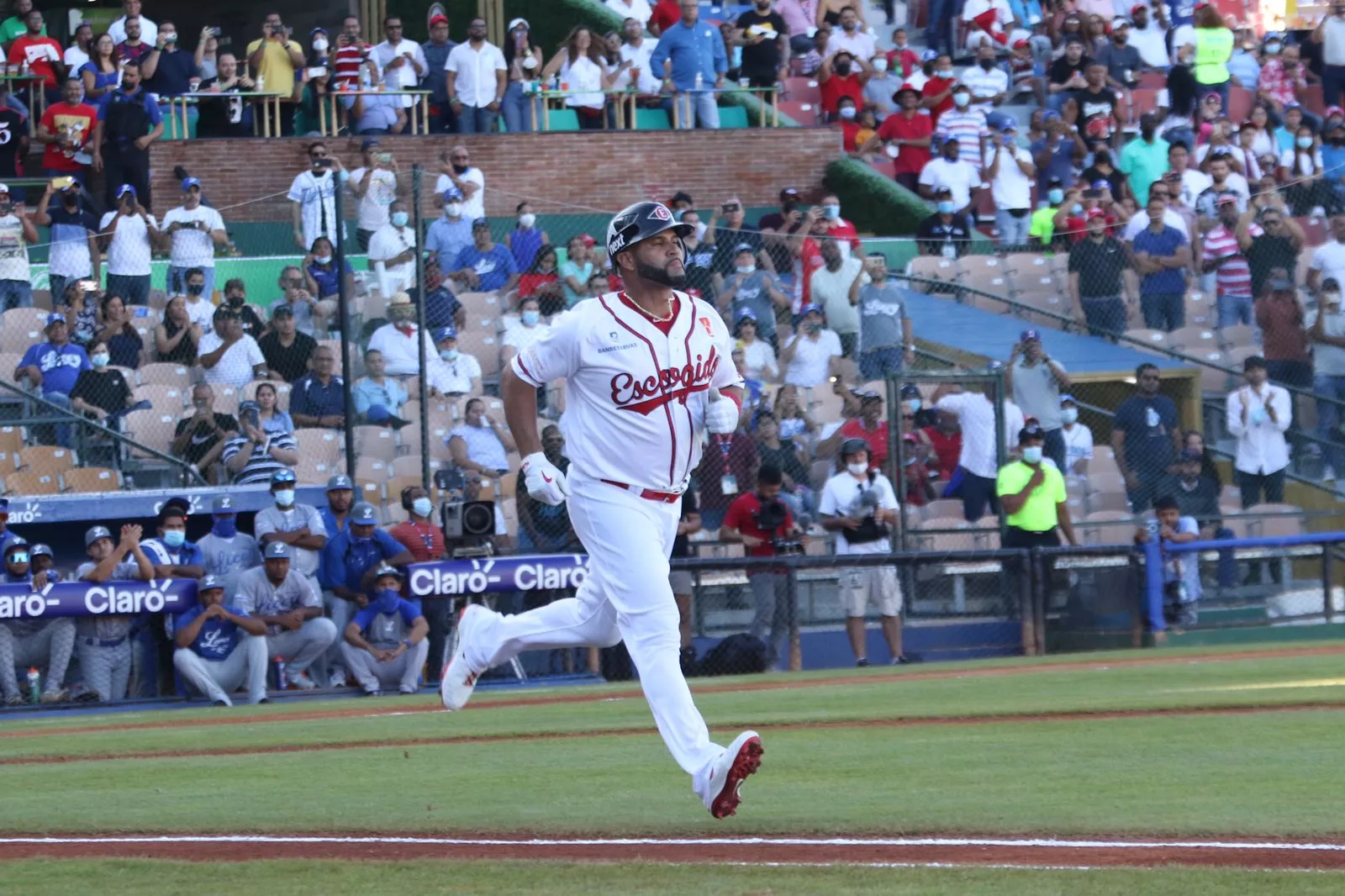 Hit de Pujols deja al Licey en el terreno