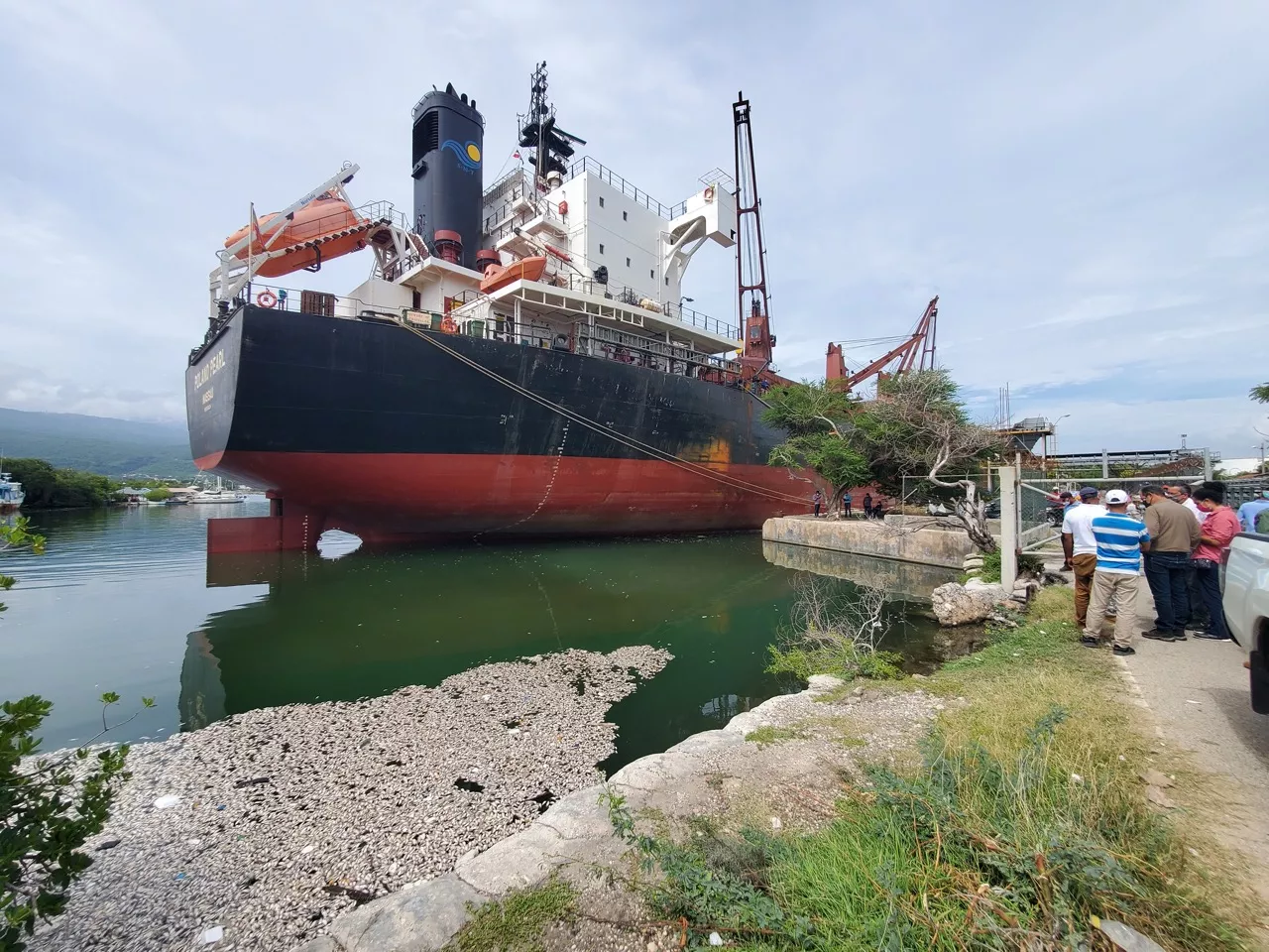 Medio Ambiente presenta informe sobre mortandad de peces registrada en Barahona